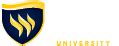 ramlink|Texas Wesleyan University Ramlink Self.